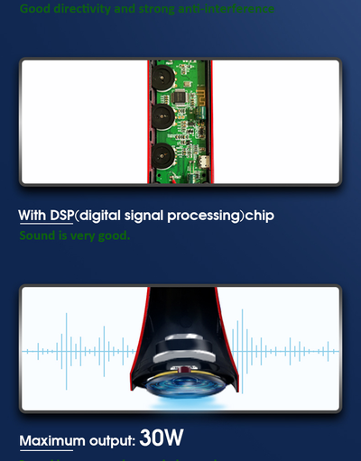 Профессиональный   караоке-микрофон  L-1098DSP  30w