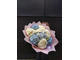 Гортензия букет, букет из гортензий трех цветов, белая, розовая, голубая гортензия, большой букет