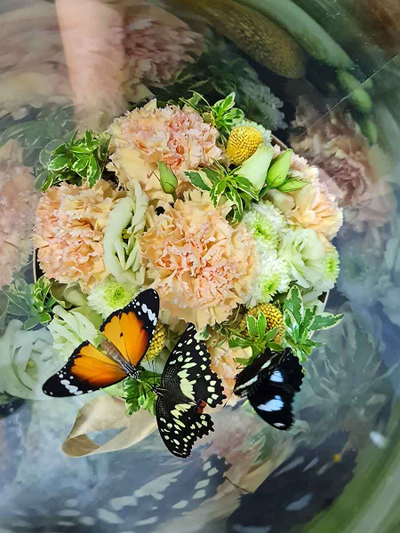 Букет с бабочками 108