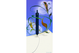 "Линия судьбы", Legenda Vincento