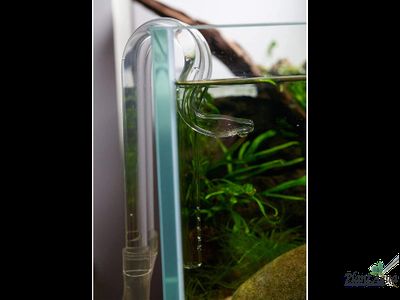 Набор Lily Pipe Duck NANO 13 мм - вход и выход из стекла для наноаквариумов