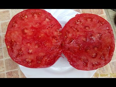 Томат Тидвелл немецкий (Tidwell German)