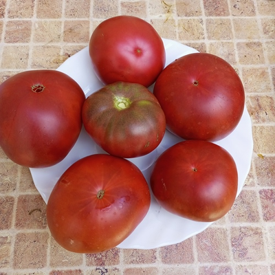 Томат Красавчик папа (Hunk papa)