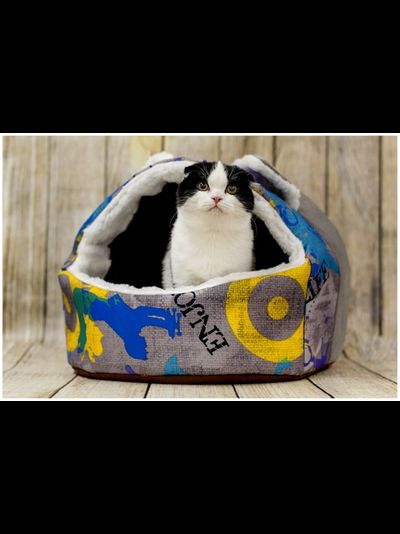 ДОМ “ПУШОК”