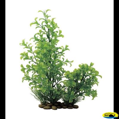 1150206-АRТ Людвигия зеленая 30см. иск.раст.