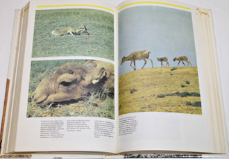 Гржимек Б. Животные-жизнь моя. 50 лет : события и исследования. М.: Мысль. 1993г.