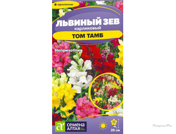 Цветы Львиный зев Том Тамб Карликовый/Сем Алт/цп 0,1гр