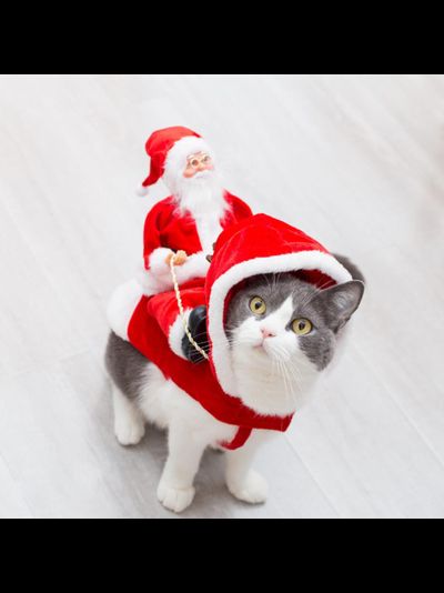 Костюм для собак Санта в упряжке