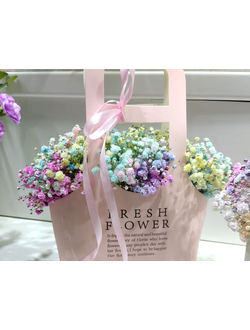 Сумочка радужная гипсофила