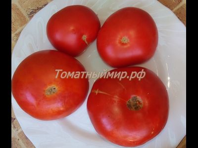 Томат Сладкая Скарлет (Сладкий Алый гном, Dwarf Sweet Scarlet), США