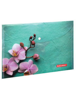 Папка-конверт с кнопкой BRAUBERG "FLOWER", А4, 160 мкм, до 100 листов, цветная печать, 228031
