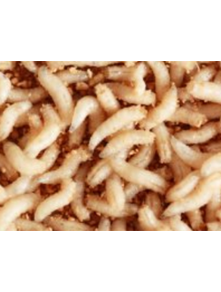 Опарыш белый, 1 литр