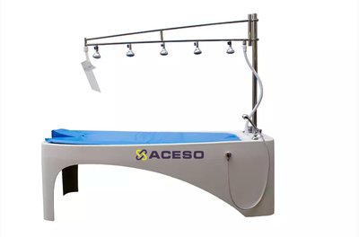 Душ Виши мод 2