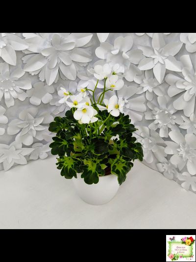 Lullaby (Arndt) (гёрл-лист)