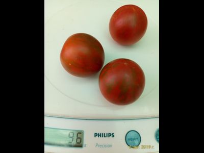 Томат Фиолетовая яшма (Цзы-Ю, Tci U, Китай)