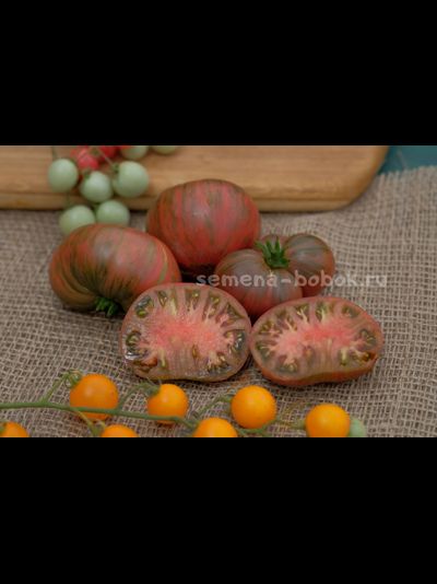 Томат Dwarf Noah&#039;s Stripes (Гном Полоски Ноя), 10 шт