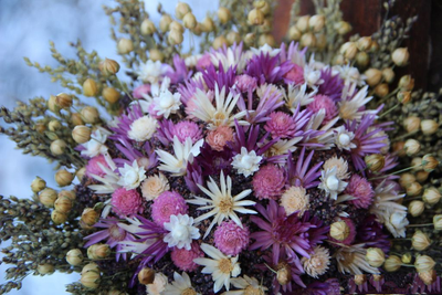 Набор молдов "Пижма+ Пузыреплодник+Коробочки льна "