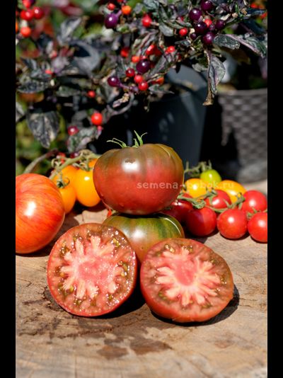 Томат Brandywine Black (Брендивайн Черный)