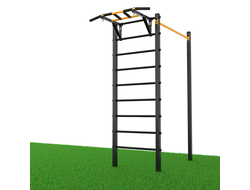 Уличный турник + шведская стенка с турником Record R1W-1 купить в Воронеже