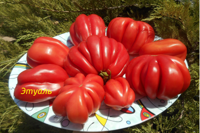 Томат Этуаль