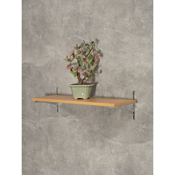 (ПУП0300) Полка настенная "Lind"