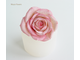 "Роза №1. Идеал" силиконовая форма.