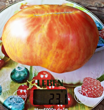 Томат Розовое сердце Пессака полосатое (Coeur Rose de Pessac Stripe )