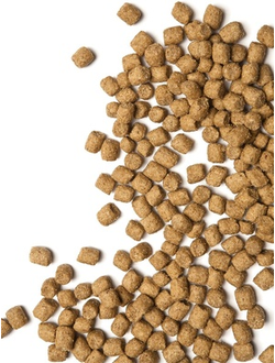 Корм Probalance Immuno для кошек курица, индейка 0,4 кг