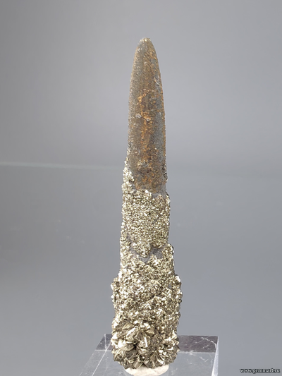 Пирит на белемните. КЧР. Россия. 49*12*10мм