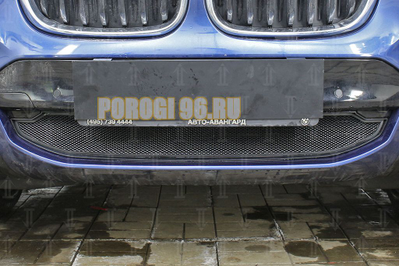 Защита радиатора BMW X3 III (G01) (xDrive AT / xDrive AT M Sport) 2017- black низ