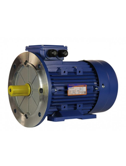 Электродвигатель 5АИ 100L2 (5,5 кВт) IM 2081