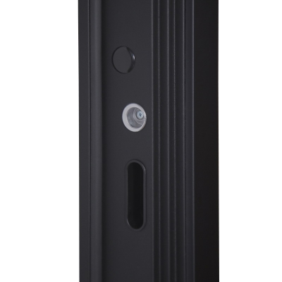 Стальная дверь   Plata (биометрический замок Smart Lock Y12)