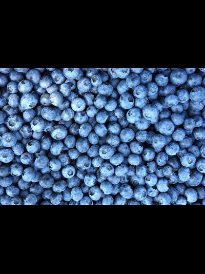 Черника шоковой заморозки. Фасовка 0.5кг