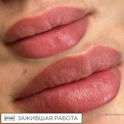 SVETA SCHWARZ PRIMER SET в pm-shop24.ru