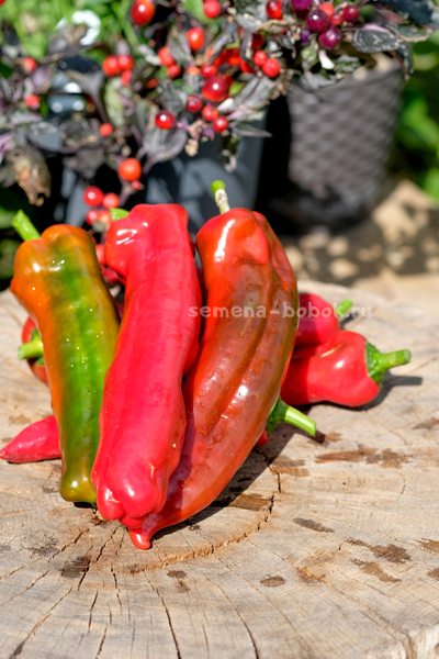 Перец сладкий Тронторолло, 10 шт