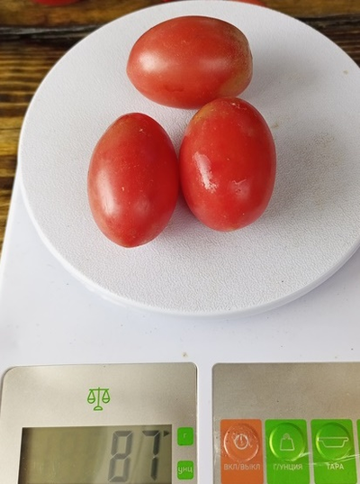 Томат Чио-чио-сан