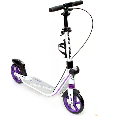 Самокат на лыжах Triumf Active K2T с колесами