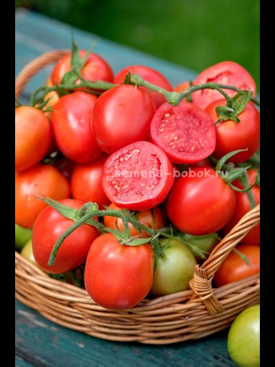 Томат Царица Полей, 10 шт