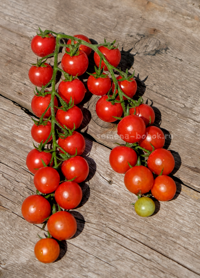 Томат-черри  Красная Вишня, 10 шт