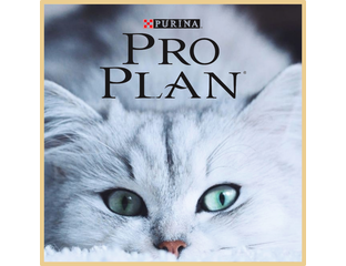 ProPlan (ПроПлан) ветеринарные влажные корма для кошек