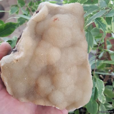 Кальцита, сферолиты на окисленной породе. Россия. 140*100*96мм