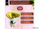 Muller Licht JDR-C-GU/550Y 50w 230v 50° GU10 Yellow