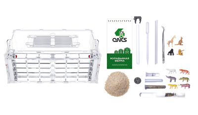 Комплект формикарий 4ants Crystal XL 3.0  с муравьями Messor Structor