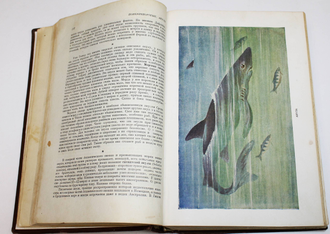 Жизнь животных по А.Э. Брему. Том 3: Рыбы. Земноводные. Пресмыкающиеся. М.: Учпедгиз, 1939.