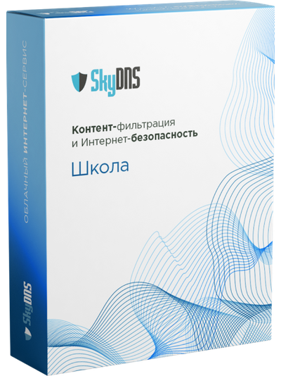 SkyDNS.Школа, 1 год, 30 ПК