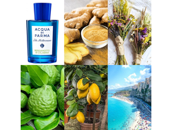 Acqua Di Parma Blu Mediterraneo Bergamotto Di Calabria