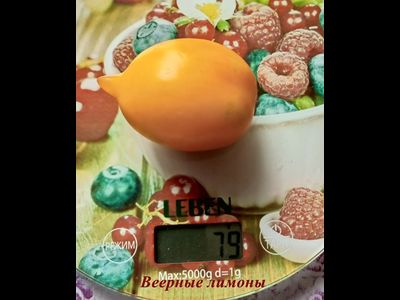 Томат Веерные лимоны (усл)