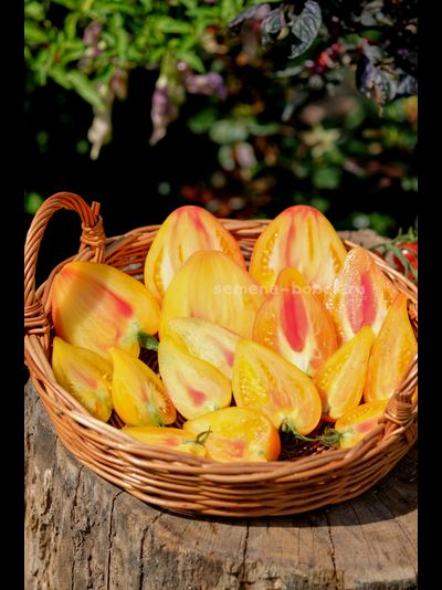 Томат Апельсиновое Манго, 10 шт