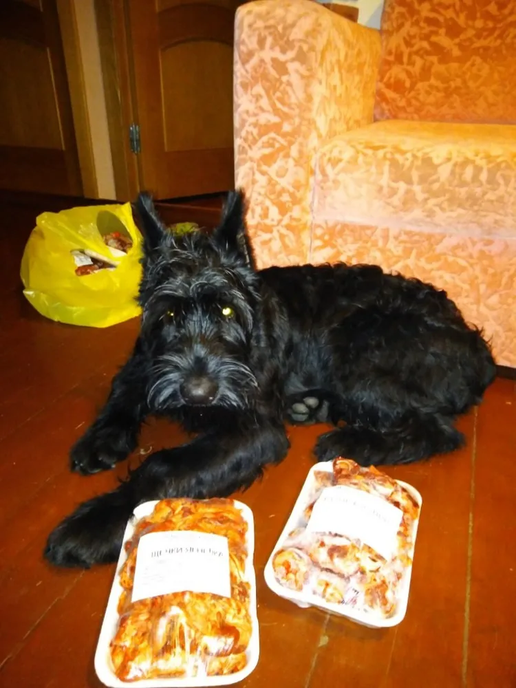 Хозяйка Лариса: "Получили заказ и приятно удивились новой фасовке."