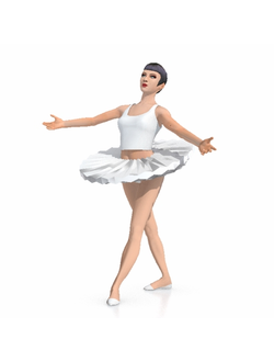 балерины Балерина 5